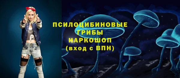 ECSTASY Покачи