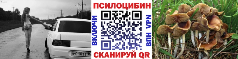 закладки  Камбарка  Псилоцибиновые грибы Magic Shrooms 
